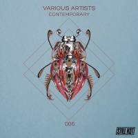 VA - Contemporary 2017 FLAC