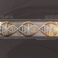 Protoculture - Circadians 2006 FLAC