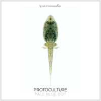 Protoculture - Pale Blue Dot 2018 FLAC