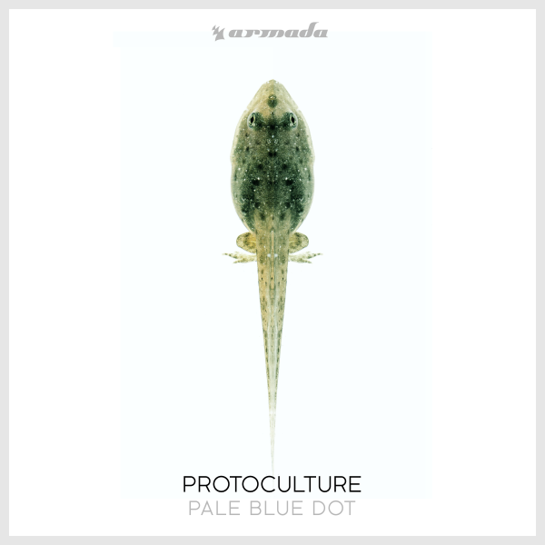 Protoculture - Pale Blue Dot 2018 FLAC