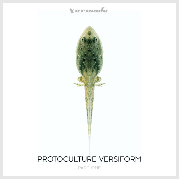 Protoculture - Versiform (Part One) 2018 FLAC