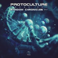 Protoculture - Break Out (Shadow Chronicles Remix) 2019 FLAC