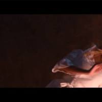 Женя Юдина & Dj Half - Не звони.mp4