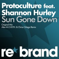 Protoculture feat. Shannon Hurley - Sun Gone Down 2011 FLAC