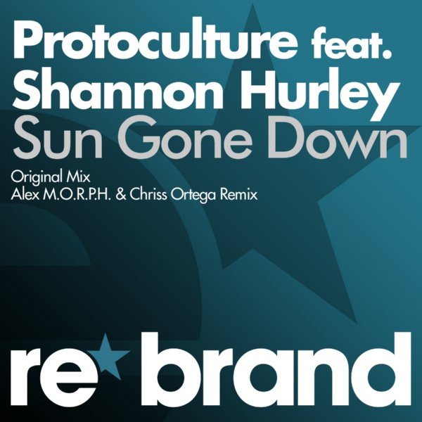 Protoculture feat. Shannon Hurley - Sun Gone Down 2011 FLAC