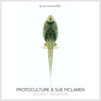 Protoculture & Sue Mclaren - Secret Weapon 2018 FLAC