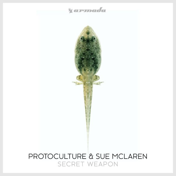 Protoculture & Sue Mclaren - Secret Weapon 2018 FLAC