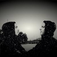 Panaviscope - The Last Smart Person on Earth (2021) FLAC