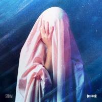 Treemer - Storm EP (2021) FLAC