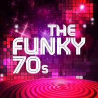 Various Artists - The Funky 70s (2021) FLAC
