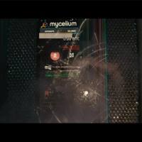 Ленинград — Золото (14+).mp4