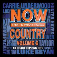 VA - Now That's What I Call Country, Vol. 6  (2013) FLAC