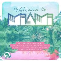 VA - Welcome to Miami 2017 FLAC
