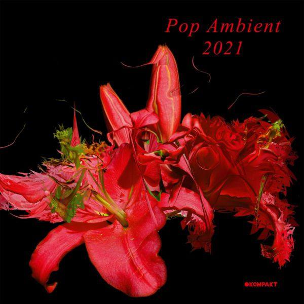 Various Artists - Pop Ambient 2021 (2020)