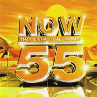Now That's What I Call Music! 55 [UK, 2CD 2003]