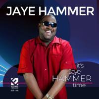 Jaye Hammer - It's Jaye Hammer Time (2021) FLAC