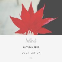 VA - Bullfinch Autumn 2017 Compilation (2017) FLAC