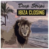 VA - Deep Strips Ibiza Closing (2017) FLAC