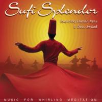 Sufi Splendor,Manish Vyas,Dina Awwad - Music For Whirling Meditation 2002 FLAC