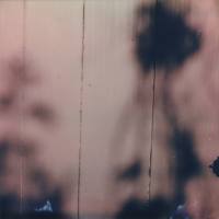 Andrew Tasselmyer - Impulses 2021 FLAC (24bit-48kHz)