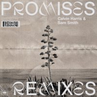 Calvin Harris & Sam Smith - Promises (Remixes 24-44,1) 2018