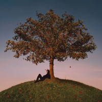 Slowthai - TYRON 2021 Hi-Res