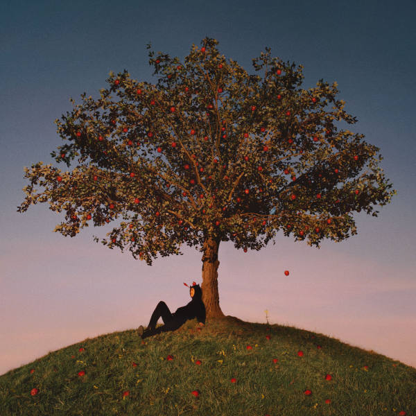 Slowthai - TYRON 2021 Hi-Res