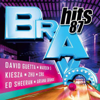 VA - Bravo Hits 087 (2014) FLAC