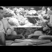 DJ Sasha Dith & Steve Modana - NO MONEY NO HONEY.mp4