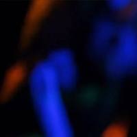 Freak Ballet - No Love No sex.mp4