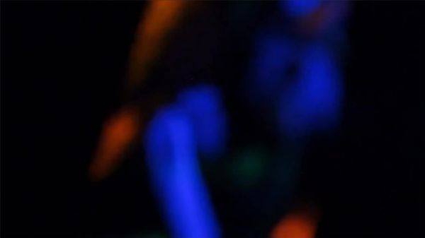 Freak Ballet - No Love No sex.mp4