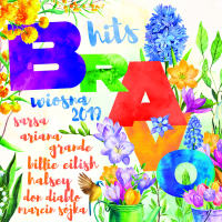 VA - BRAVO Hits Wiosna 2019 [2CD] (2019) FLAC