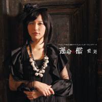 愛美 - 運命の檻 2013 FLAC