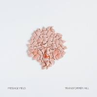 Message Field - Transformer Hill 2019 FLAC