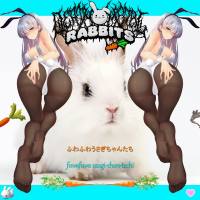 Death Metal Rabbits - 2020 - fuwafuwa usagi-chan-tachi (FLAC)