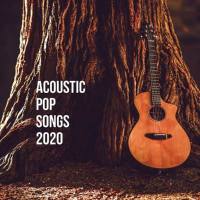 Acoustic Pop Songs 2020 FLAC
