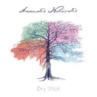 Dry Stick - 2019 - Annualis Naturalis (FLAC)