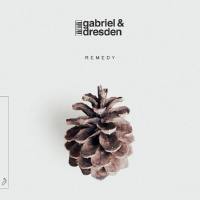 Gabriel & Dresden - Remedy (2020) FLAC