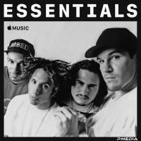 Rage Against the Machine - Essentials (2020) FLAC