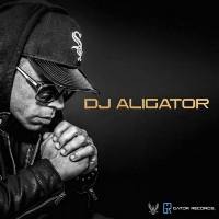 DJ Aligator - Best Of (2020) FLAC