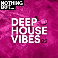 Nothing But... Deep House Vibes Vol.05 (2020) FLAC