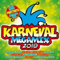 VA - Karneval Megamix 2019 FLAC