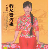 王二妮 - 我从西边来 WAV分轨