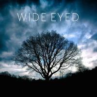 Wide Eyed - Song for Three.flac