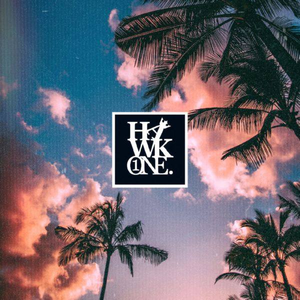 HawkOne - Calm Trees.flac