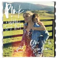P!nk, Willow Sage Hart - Cover Me In Sunshine.flac