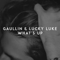 Gaullin, Lucky Luke - What's Up.flac