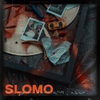 Slomo - Ich g?nn dir alles, aber....flac