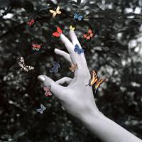 Middle Kids - Cellophane (Brain).flac