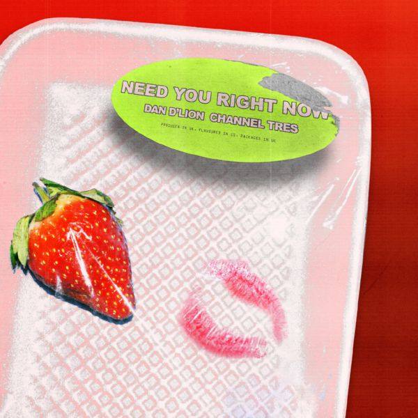 Dan D'Lion, Channel Tres - Need You Right Now.flac